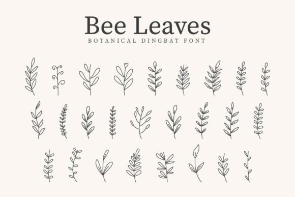 Bee Leaves: A Font That Elevates Branding