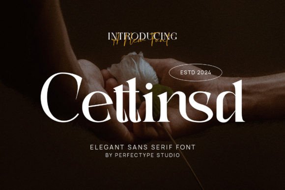 Cettinsd: A Serif Font for Modern Branding